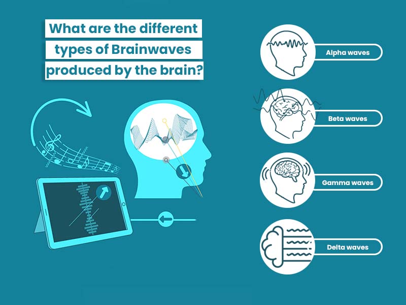 What-are-the-different-types-of-Brainwaves-produced-by-the-brain-