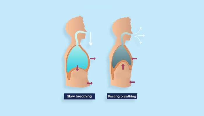 Hyperventilation Hypoventilation