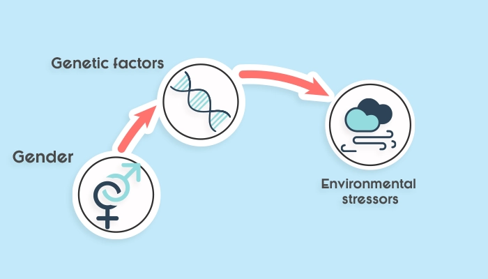 What are the risk factors of OCD