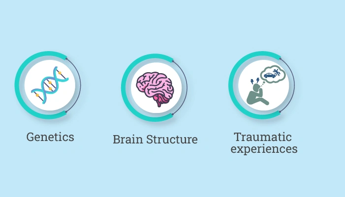 What are the causes that contribute to bipolar disorder and BPD