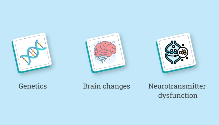 What are the shared risk factors between Depression and Dementia