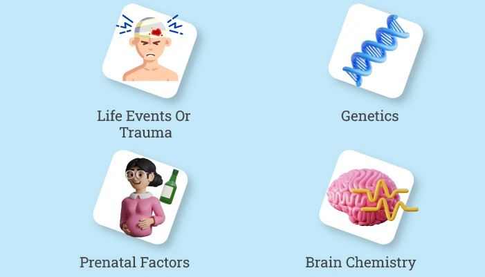 What Are The Major Risk Factors Of Mental Health Disorders (1)