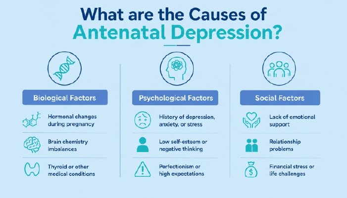 What are the Causes of Antenatal Depression